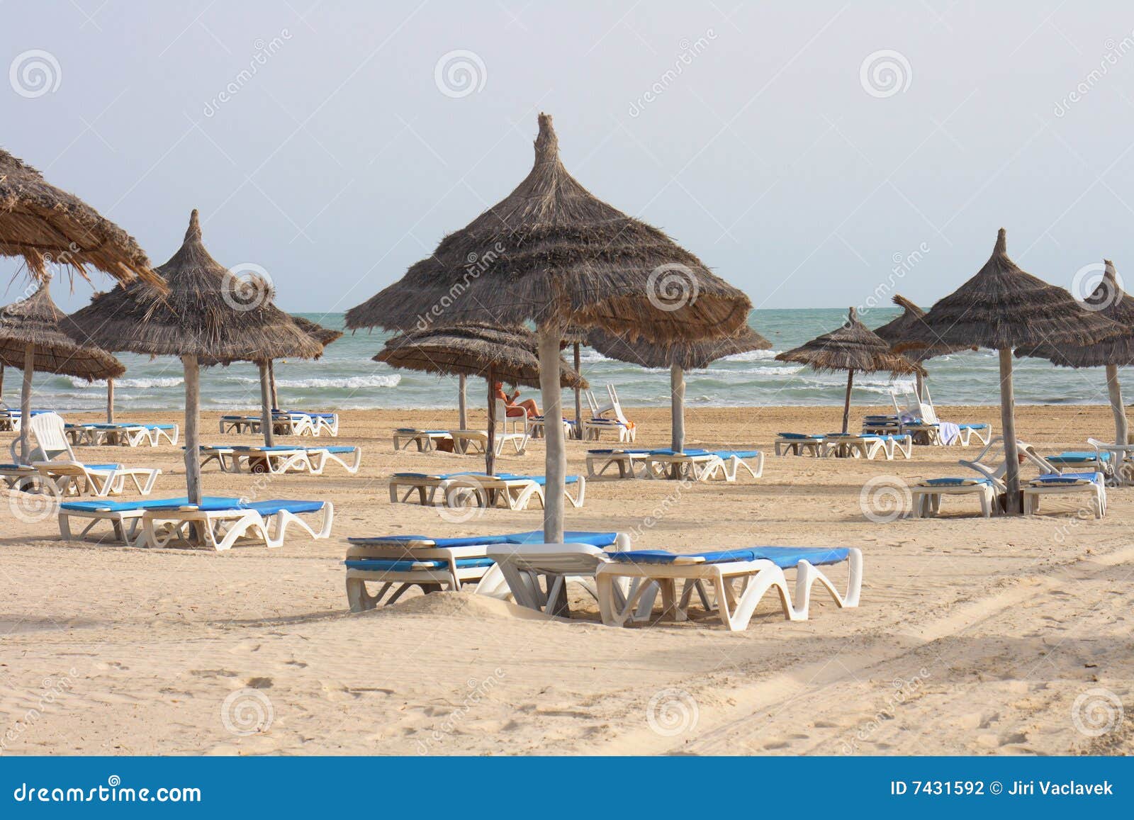 Palm-lined beach and turquoise sea in Djerba